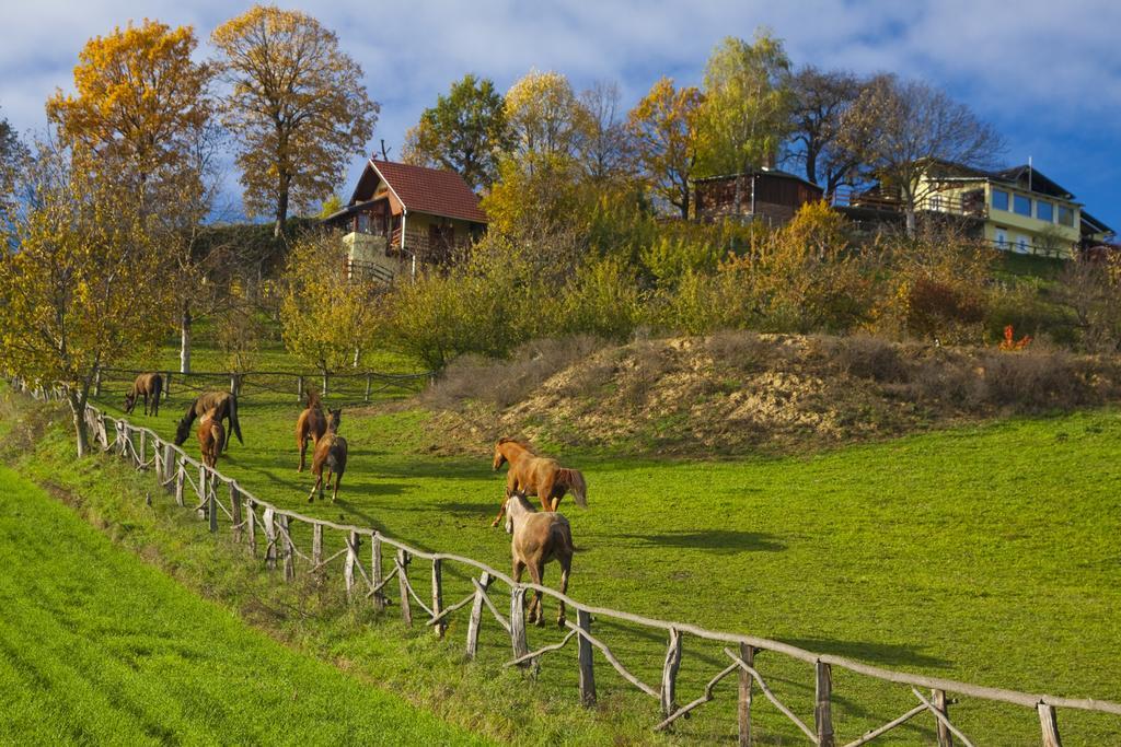 ביילובאר Country House Na Malenom Brijegu חדר תמונה